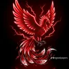 seamir43