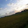 binarbinarakbar