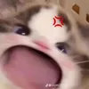 minhngoc1457
