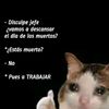 r1c4rdoc777