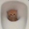 its_dxnnx