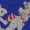 kashi4420