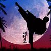 tkd_girl10