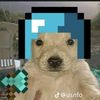 jorgee._.0