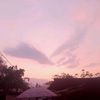 justinekieandwalan0