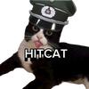 hitcat237