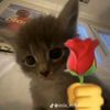 putriirmbee