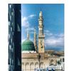 shahbaz.ali6555