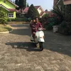 bwzrakmal