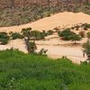 hassansadafa