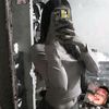 jami.49