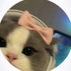 lolo_nana971