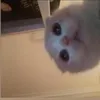 _qquynhanhh_00