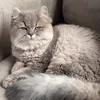um_khalid222