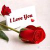 user1929906525090