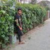 mdsalmankhan3349