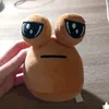 krkrkr038