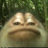snek12345