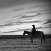 double_t_riders