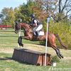 greta_eventing08