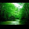 smail.belloufi