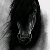 user5459441814499