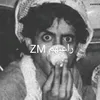 .mz604