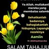 herlyajah943gmail.com0