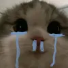 tqaw_