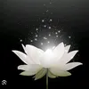 ngoc_han2012_