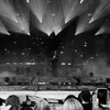 signe_ambjornsson