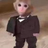 rewqytj