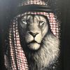 qosai577