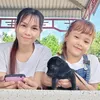 83kimgiau