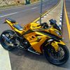 golden_eagle080