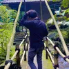 lintangg181