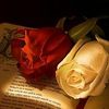 user2608115032986