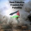 savepalestinfreedompales