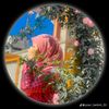 sayma2212