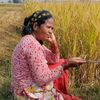 sitalichaudhary7