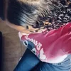 siilvaa.laurita