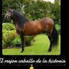 vicentegonzalez151