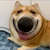 namnhphngl