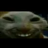 xdddsmieszneklipyxddd