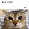 pt28454