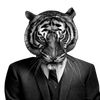 tiger.zsx