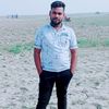 arian.shepon