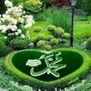 user5215261308039