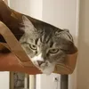 hi.podsvetka