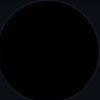 seal_313